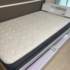 セミダブルベット