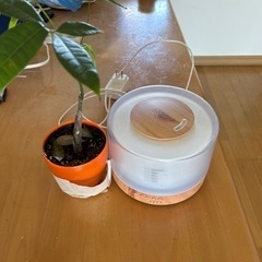 アロマデフューザーの画像