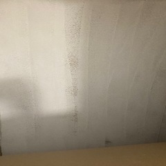 段ボール板片面塗装