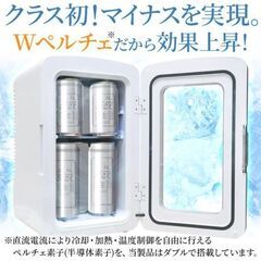冷温庫 10L 小型 ポータブル 2電源式 冷蔵庫 10リットル　ブラックの画像