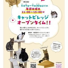 キャットビレッジ横須賀　オープンタイム