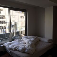 ニトリ　ダブルマットレスの画像