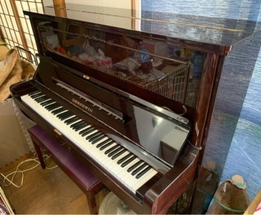 ガーシュイン No800