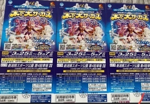 木の下サーカス3枚土日OK