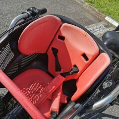 ブリヂストン Angelino petite(アンジェリーノ プティット)20インチ子供乗せ自転車 アルミ/内装3段/点灯虫/赤の画像