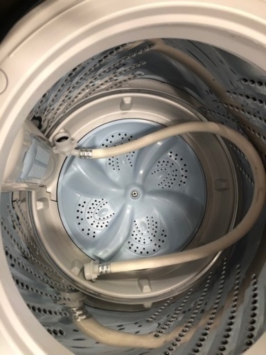 K124★Hisense製★2019年製5.5㌔洗濯機★6ヵ月間保証付き★近隣配送・設置可能
