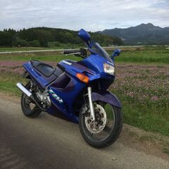 ☆　カワサキｚｚｒ２５０