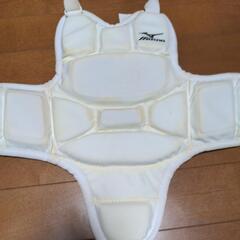 空手道　メンホー&プロテクターセットの画像