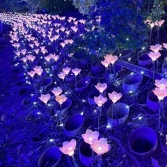 オシャレ超会議‼️🍓 - 前橋市