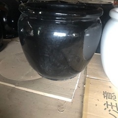 信楽焼の鉢の画像