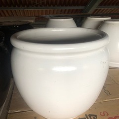 信楽焼の鉢の画像