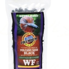 ベタ　クラウンテール　♂ 一匹GWセール‼️の画像