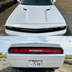 商談中【車検2年取得済み！美車！】ダッジチャレンジャー　SXT plus サンルーフ！本革シート！CARFAX&AUTO CHEACK有り！の画像