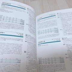 スタリオンズ2020 写真集 希少品の画像