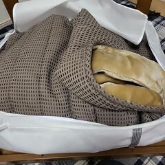 こたつ 毛布付き 目立ったキズ無しの画像