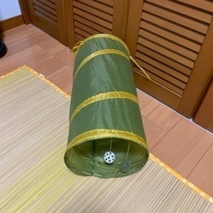 子猫用　爪研ぎとトンネルの画像