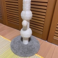 子猫用　爪研ぎとトンネルの画像