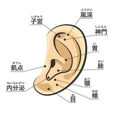 ＼その不調歯食いしばりの眠りの浅さ？／心と体をほぐす★耳ゆるケア【オンライン】の画像
