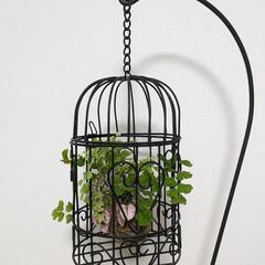 ☆　ワイヤースタンド