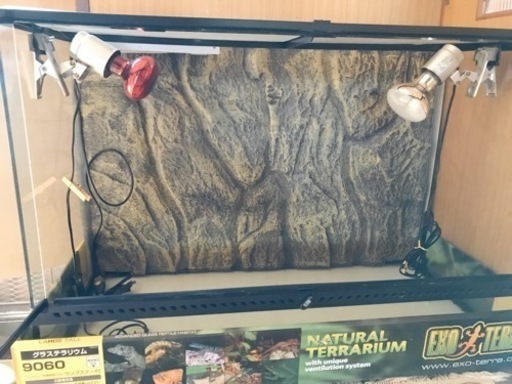 爬虫類ケージ