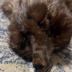 ファー ショール マフラー ブラウン