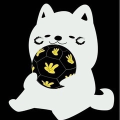5/28エンジョイMIX個サル参加者募集‼️