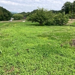 お問合せありがとうございます。 - 便利屋