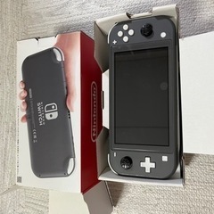 Switchライト　充電器付き Nintendo Switch Lite グレー 充電器付 美品 Nintendo Switch Lite