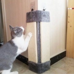 Gifty 猫用 3個セットコーナー爪とぎボード つめみがき 爪...
