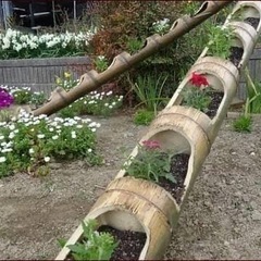おもけんファームdeバーベキュー＆春植え - メンバー募集