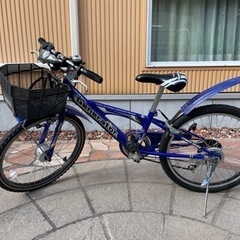 22インチ　子供用自転車