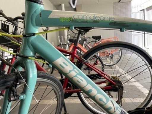 bianch クロスバイク