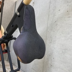 （受け渡し者決定）【ジャンク品】STRIDA ストライダ　折りたたみ自転車の画像