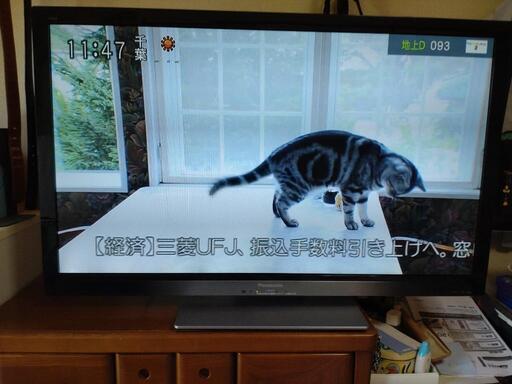 ☆Panasonic VIERA　42V型☆