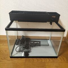 水槽ジェックス450✕300【メダカ、金魚、熱帯魚などに】