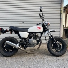 エイプ50 の画像