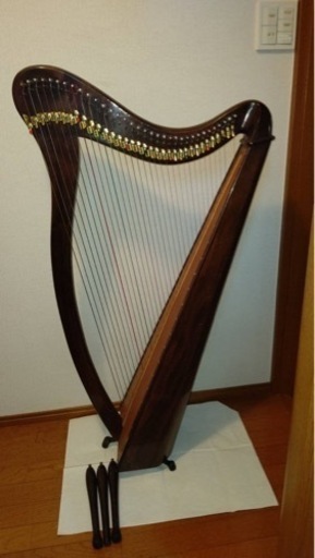 AOYAMAアイリッシュハープ　4/30更新