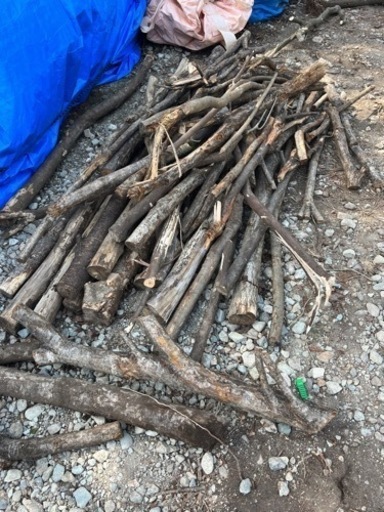 伐採後の木　薪 BBQ、DIYなどに！