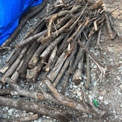 伐採後の木 薪 BBQ、DIYなどに！