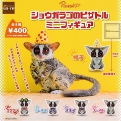 ショウガラゴのピザトル ガチャガチャ
