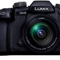 Panasonic DCgh5 ( Máy ảnh quay p...