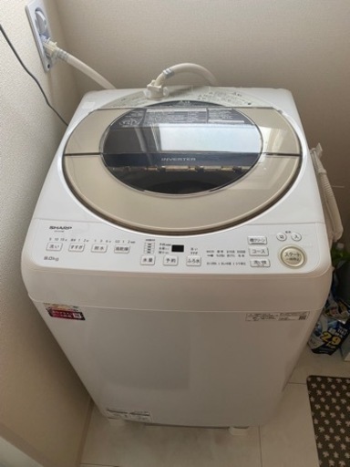 SHARP 洗濯機 9kg 2021年式