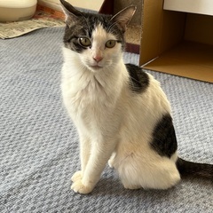 お出迎えしてくれるルル