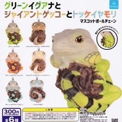 グリーンイグアナとジャイアントゲッコーとトッケイヤモリ ガチャガチャ