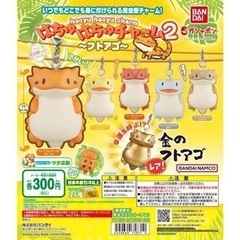 はちゅはちゅチャーム2〜フトアゴ〜 ガチャガチャ