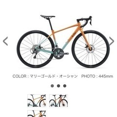 Liv AVAIL AR2の画像