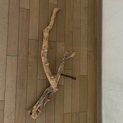 流木で作ったハンガーポール