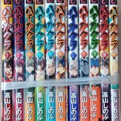 「ハイカグラ　1巻から11巻」