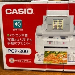 CASIO PCP-300