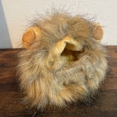 猫の帽子の画像